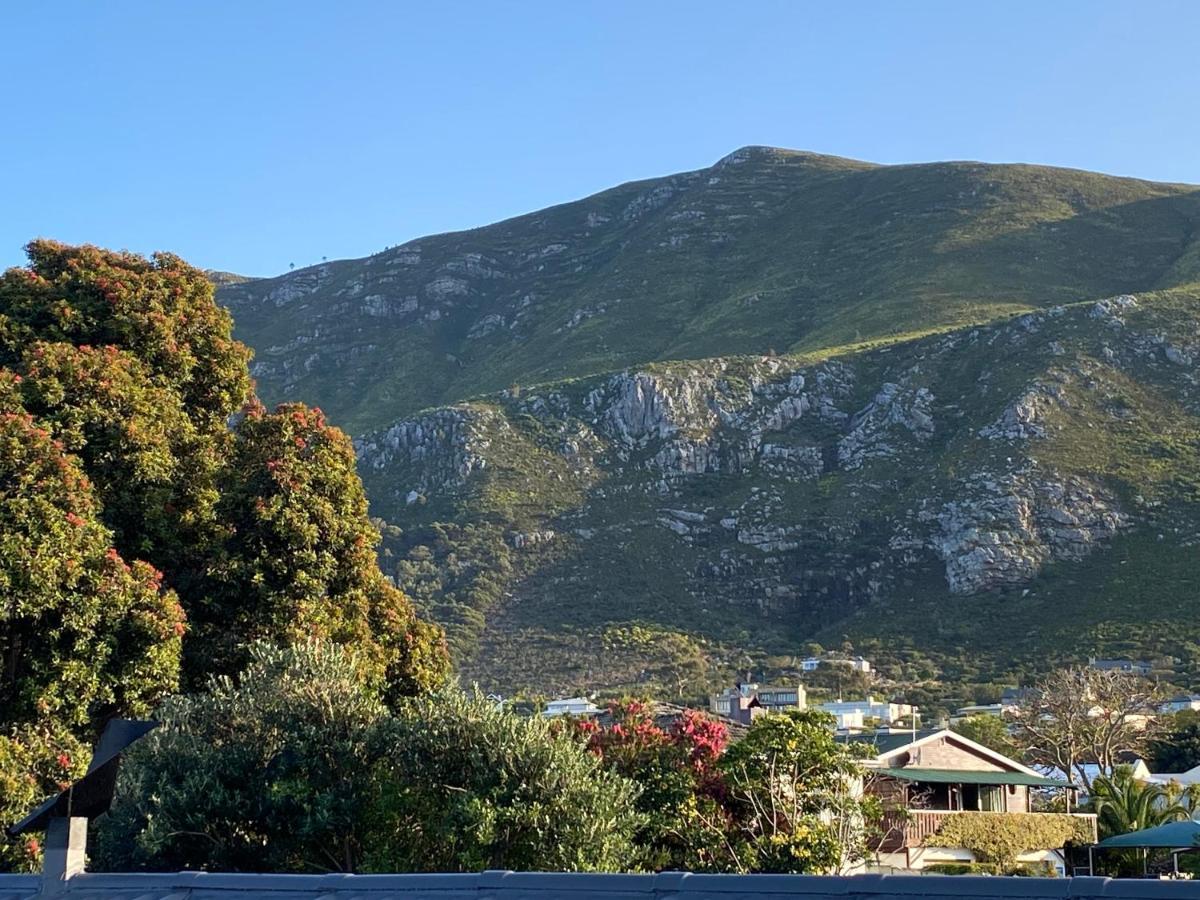 Self Catering Luke Drive Onrus Apartment